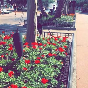 Meet your Posher, Abdulaziz